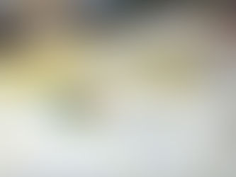 Acompaña SEMADET planeación territorial en El Salto para garantizar crecimiento urbano con equilibrio ambiental