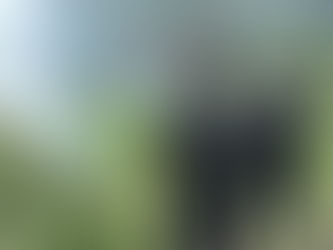 Localiza y destruye Policía de Jalisco cerca de 40 mil plantas de aparente mariguana