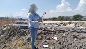 Realiza PROEPA 133 visitas de inspección e impone 44 clausuras en primer trimestre de 2026
