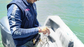 Coprisjal invita a conocer la calidad del agua en playas de Jalisco para su uso recreativo: Verano Seguro 2024