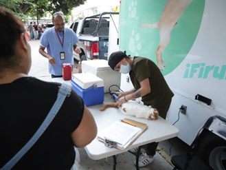 Bienestar Animal realizará 80 esterilizaciones gratuitas en el marco del Día Mundial de las Esterilizaciones.