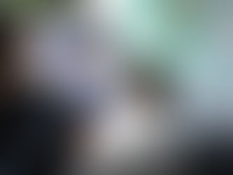 Bienestar Animal realizará 80 esterilizaciones gratuitas en el marco del Día Mundial de las Esterilizaciones.