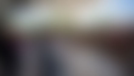 Zapopan celebra la primera edición del Festival de la Primavera