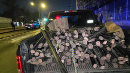 Los habrían asegurado del 05 al 11 de enero de 2026