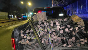 Los habrían asegurado del 05 al 11 de enero de 2026