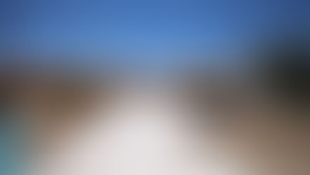 Zapopan presenta proyectos del Presupuesto Participativo 2025