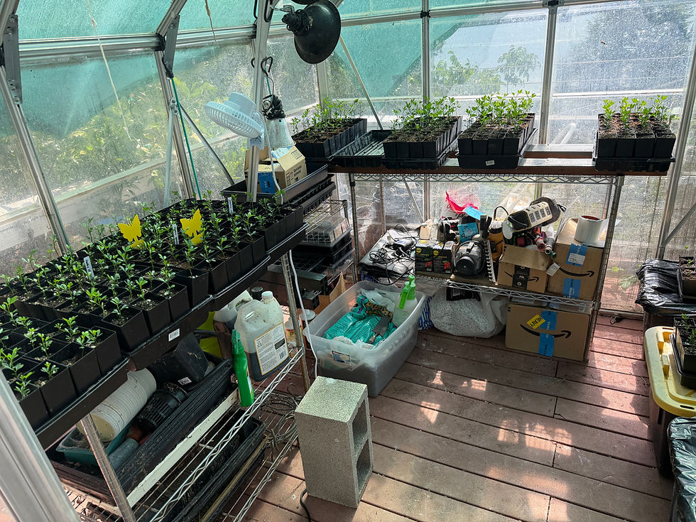 Inside Our Greenhouse