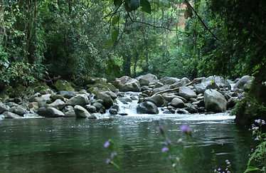 WhatsApp Image 2020-08-01 at 12.00.16 AM.jpeg