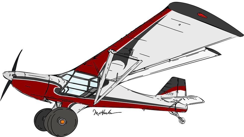 Thumbnail: Airplane Paint Schemes