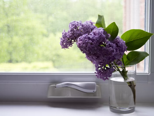 What Should Be on Your Spring (or Fall) Home Maintenance To-Do List?