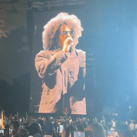 download (2).gif