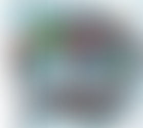 Custom Robo Arena (Nintendo DS)