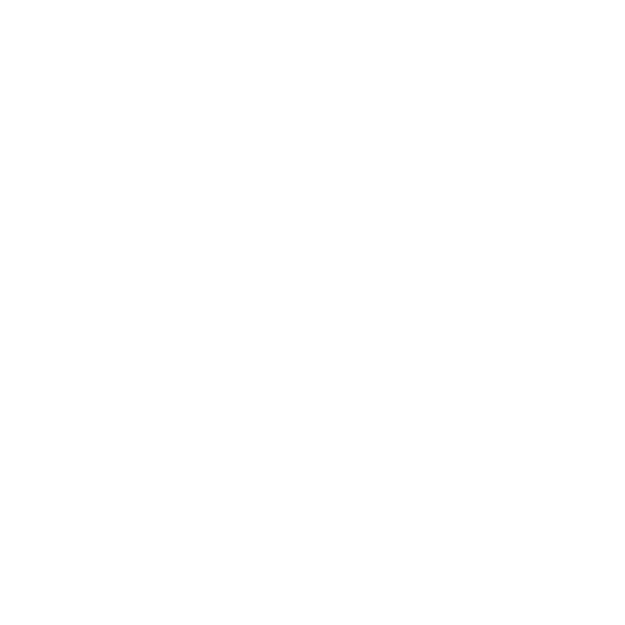 website WHO WE ARE icons-08.png