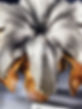 image0-3.jpeg