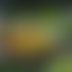 May your pure intentions...