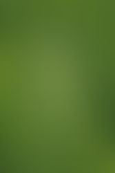 A primary purpose of holistic health...