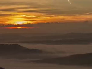 ⚕️Your Health Is Your Wealth 💰