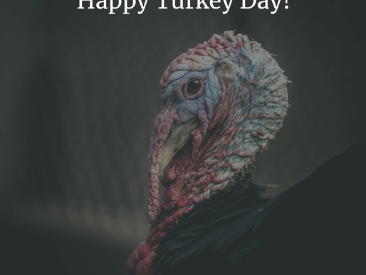 Happy Thanksgiving!