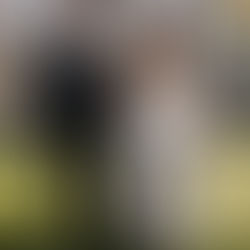 Hochzeit von Andrea & Johannes