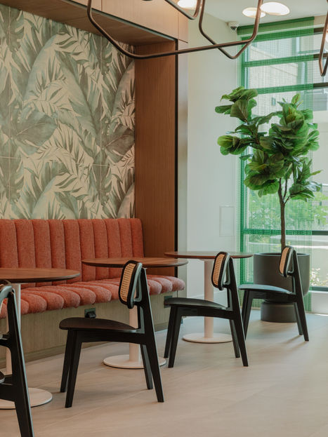 Camden Durham Phase 2 Project - Interior Design by Andrea Mejia Interiors