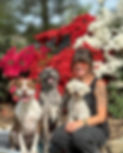 Amy - Dog Training