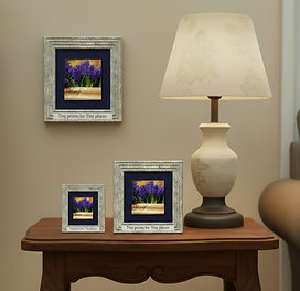 Tiny Prints for Tiny Places