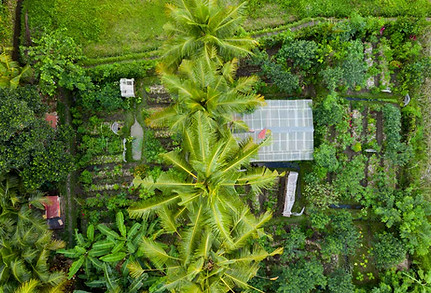 BALI-2019-SDRAGONFLY-DRONE-142.jpeg