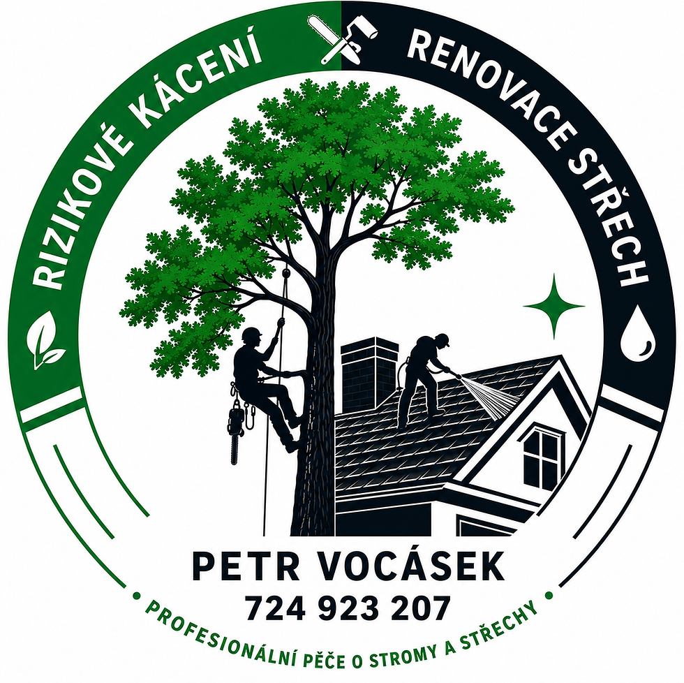 logo 2026.png