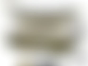 Le Guide Ultime du Hamac Moustiquaire : Confort, Sécurité et Sommet du Bivouac