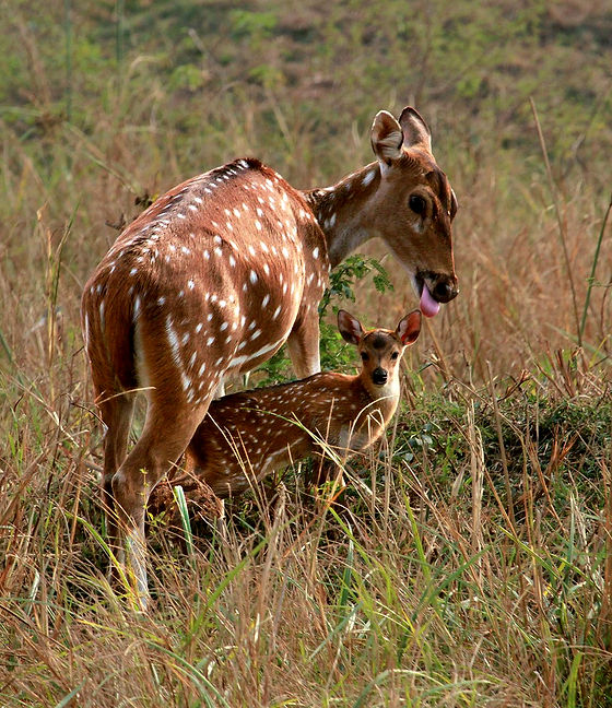 IMG_9111_edited.jpg