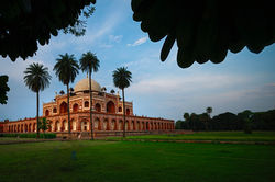 IMG_3726-Enhanced-NR-Edit-3 Large