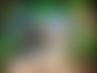 Composition Mastery : From Basics to Bold