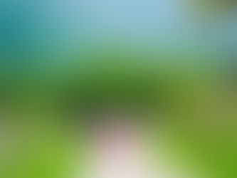 A Pilgrimage to Stillness: Isha Yoga Foundation