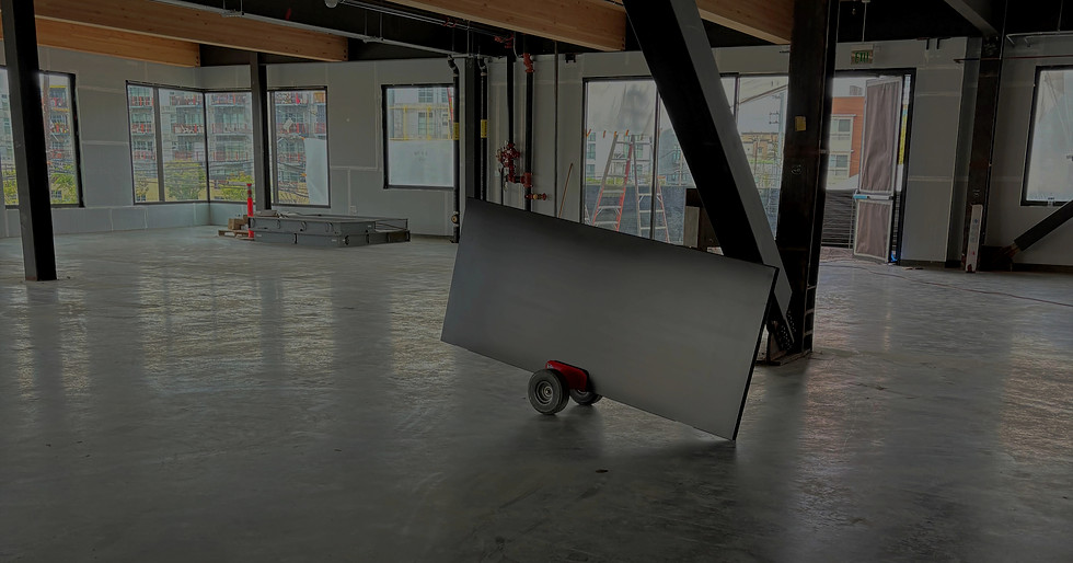 door on dolly.jpg