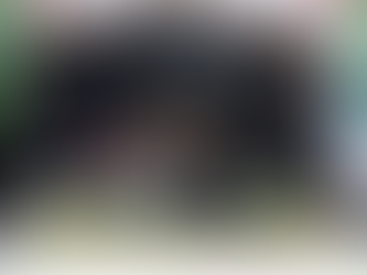 Merry Christmas From Team ALP