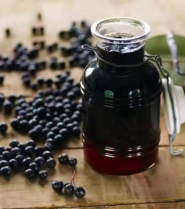 chorizorulademedruccolaogurteromme.jpg