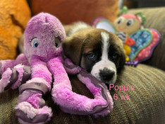 IMG_5765.JPEG