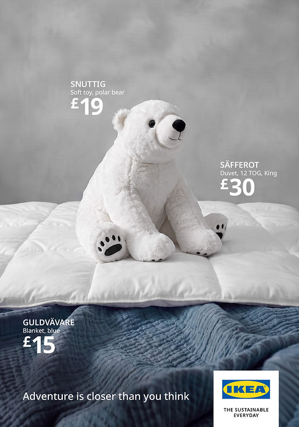 Polar Bear.jpg