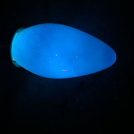 CHAIR ROSE-2019-0001.jpg