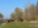 foto 4.jpg