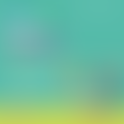 Día mundial de la Obesidad