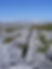The Burren