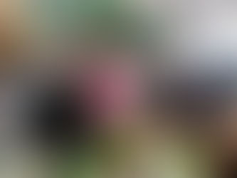 El Coronavirus aumenta la solidaridad entre los vendedores de mercado