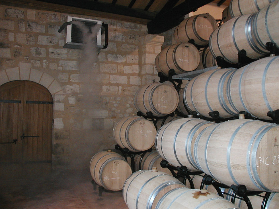 Wine Cellar Nebulisation Temperate Contr