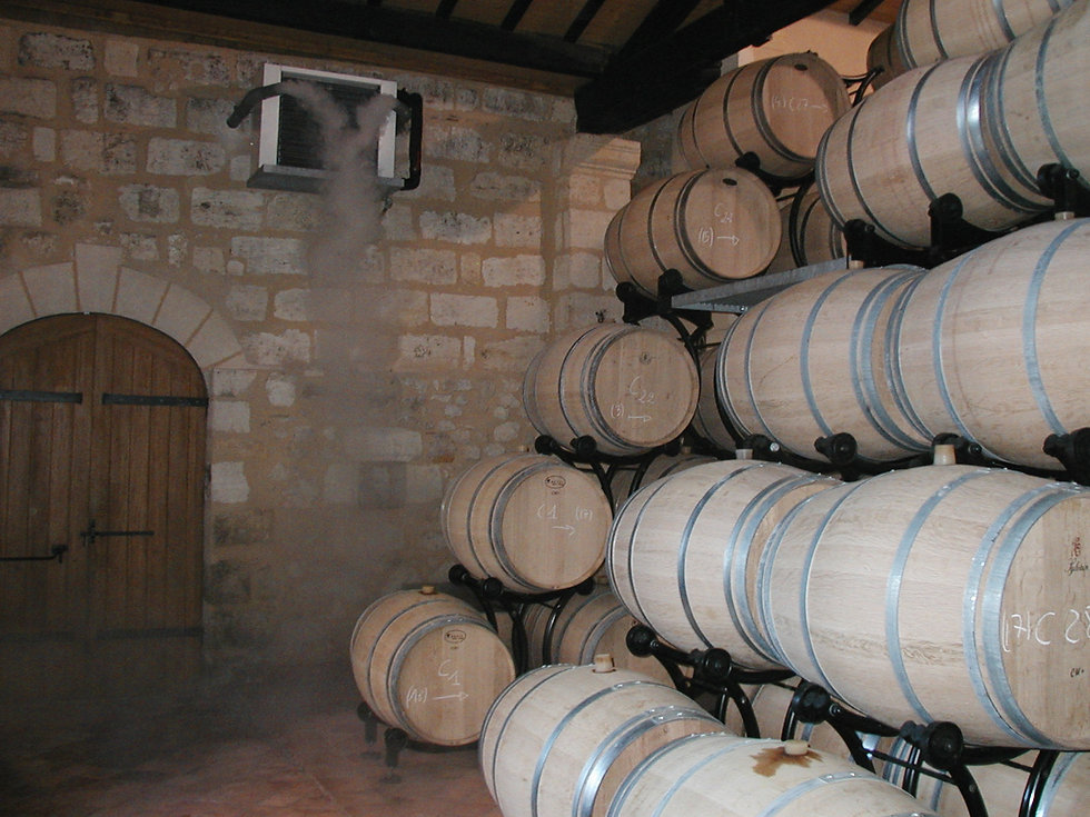 Wine Cellar Nebulisation Temperate Contr