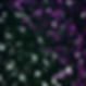 S346 m459 dapi-b vcam-g iba1-s gfap-m.jpg