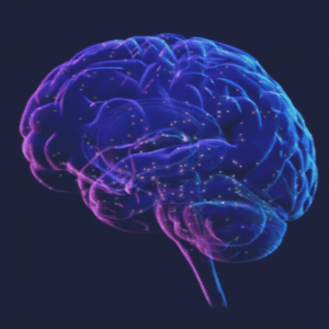 Transparent brain slowly spinning around.