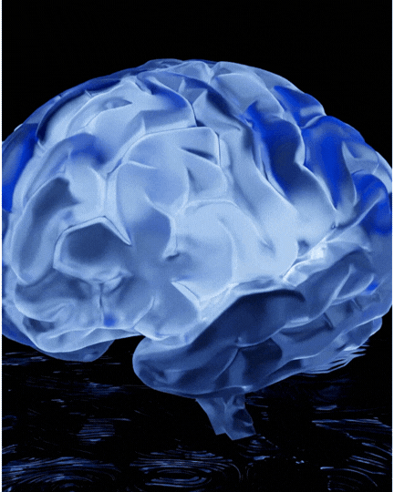 BlueBrain6SecsSmall.gif