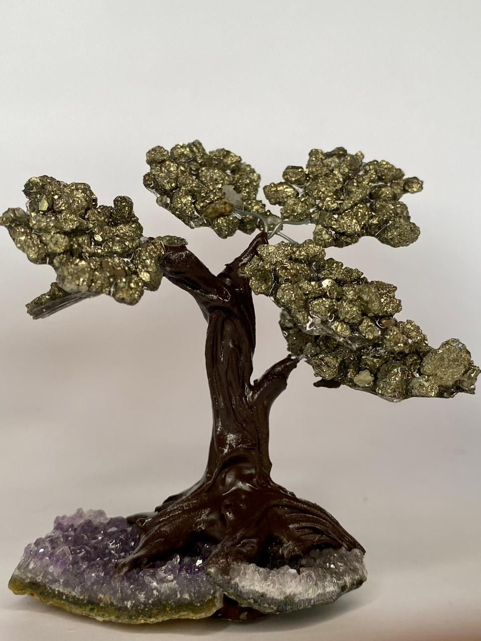 Bonsai de Pirita - Pequeno