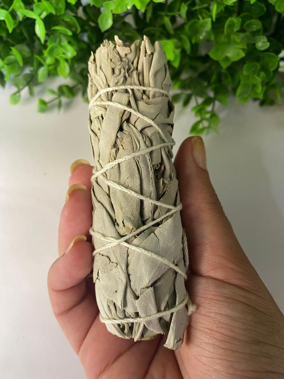 Bastão de Sálvia Branca da Califórnia - Purificação e Limpeza